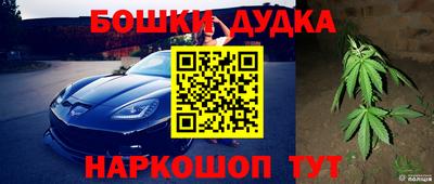 дмт Будённовск